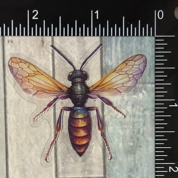 🌀10/$10🌀 Translucent Moth Dragonfly Beetle Reusable Waterproof Sticker Decal - Picture 1 of 1